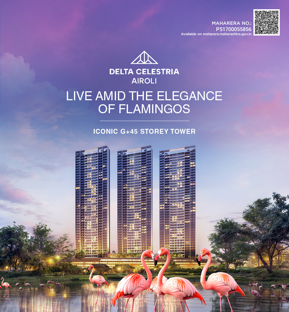 Delta Celestria Mobile Banner